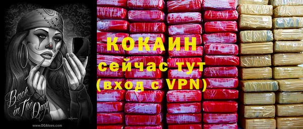 молекула духа Белокуриха