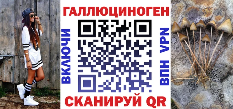 Купить закладки  Плавск  Псилоцибиновые грибы мухоморы 